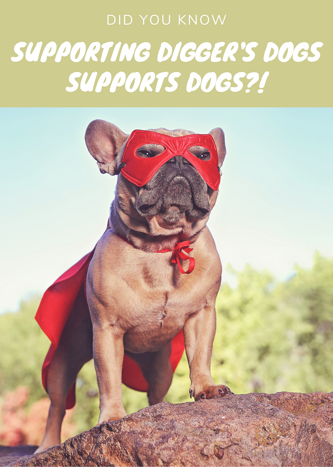 Digger's_Dogs_Poster_for_website.png