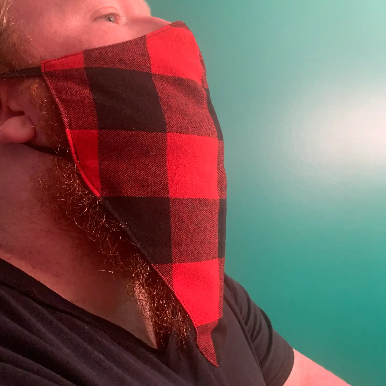 Thumbnail: The Beard Bouncer
