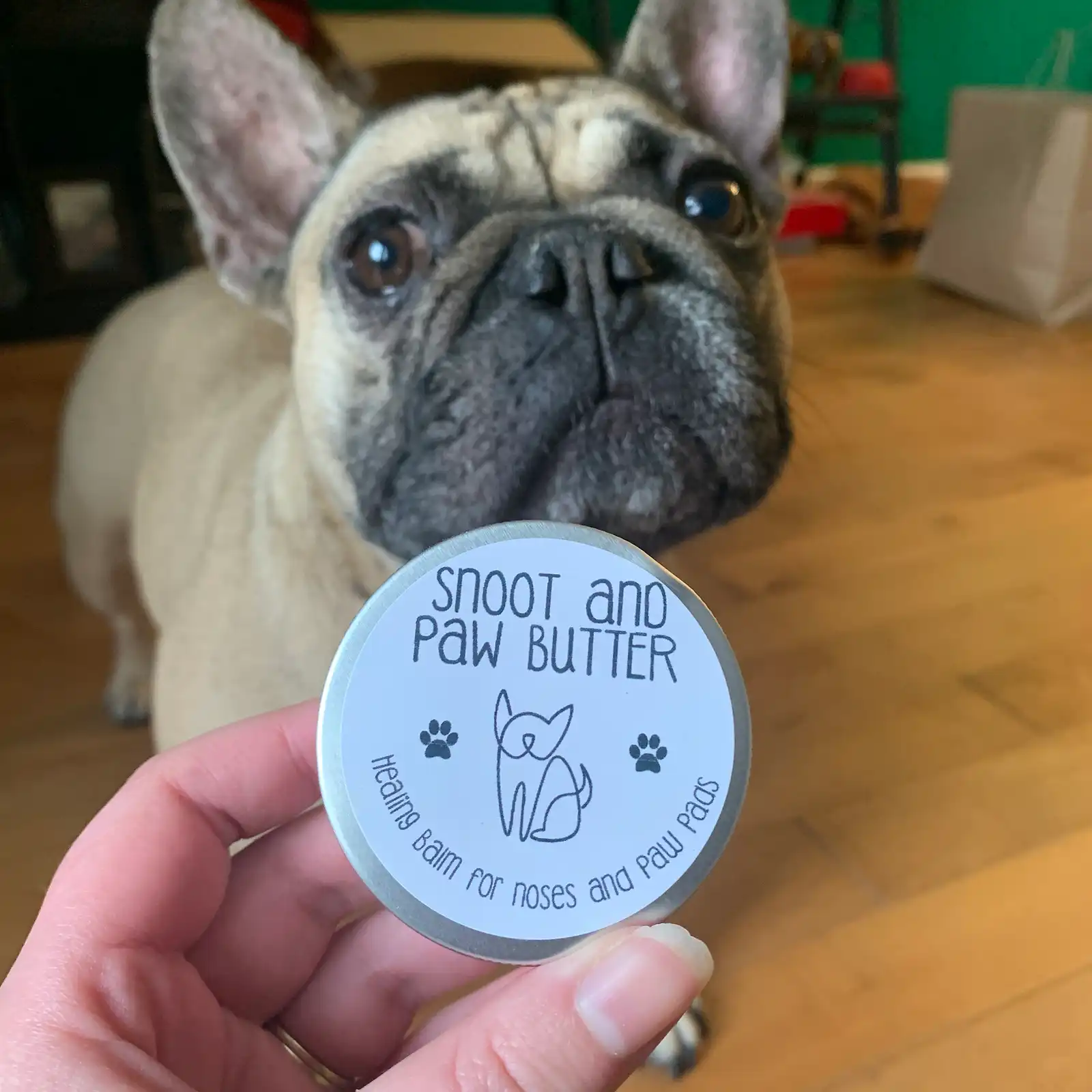 Thumbnail: Snoot and Paw Butter