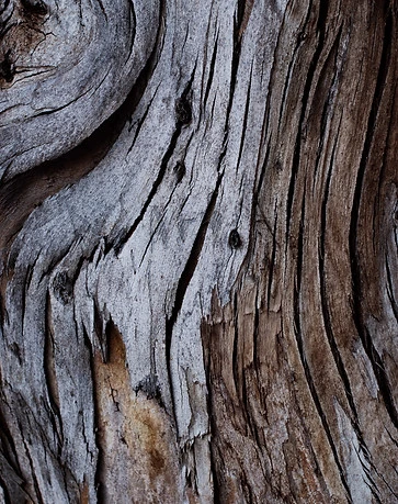 Image by Tim Mossholder